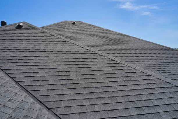 Best Gutter Installation and Repair  in Horatio, AR